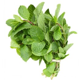 MINT LEAVES A BATCH, HERBS, STRONG, LINGERING EFFECT, CURLY, GREEN