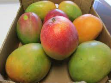 FRESH MANGO FRUIT, 6PCS, SOURCE OF VITAMIN C, NUTRITIOUS AND HEALTHY, VERY LITTLE PROTEIN AND FAT, FRESH SWEET AND JUICY