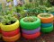 3 CAR TYRE PLANT VESSEL, UNIQUELY DESIGNED , SUITABLE FOR  PERENNIALS OR SMALL SHRUBS PLANTS